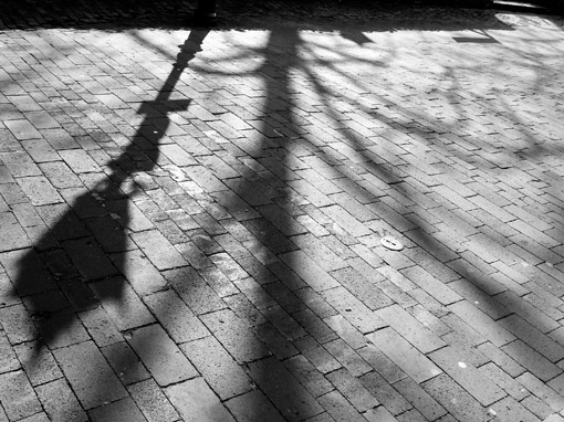 schatten